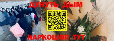 шишки Аргун