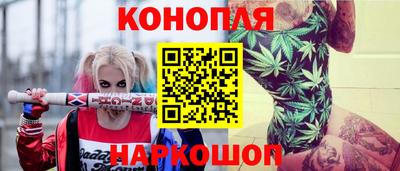 шишки Аргун