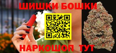 шишки Аргун