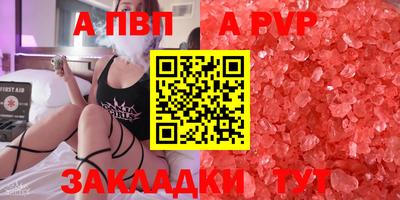 шишки Аргун