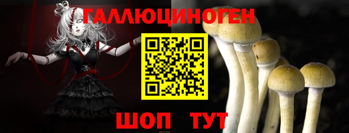Галлюциногенные грибы ЛСД Волгоград