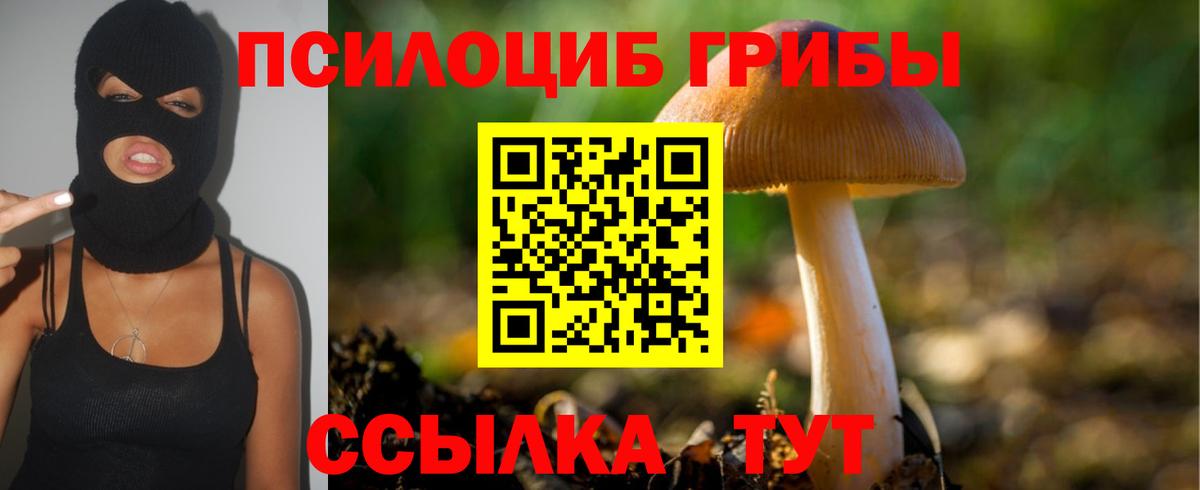 Волгоград  Псилоцибиновые грибы MAGIC MUSHROOMS  Вход с VPN 